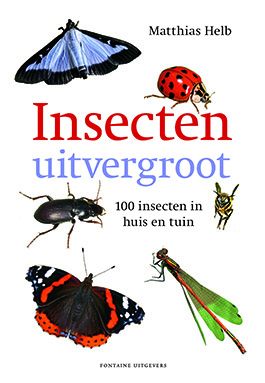 Insecten_uitvergroot