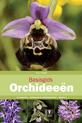 Basisgids_Orchideeen