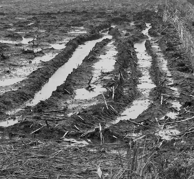 Zoetermeersemeerpolder201117