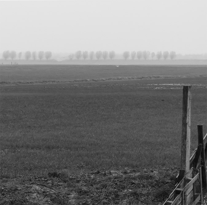 Zoetermeersemeerpolder201117A