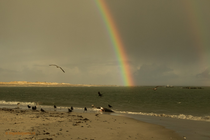 Regenboog-dune161217ID