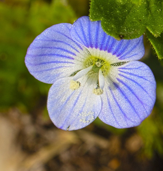 Groteereprijs140418_HDR