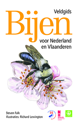 Veldgids_Bijen