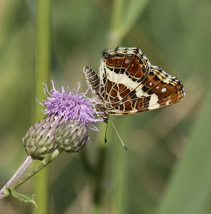 Landkaartje140818