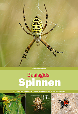 Basisgids_Spinnen