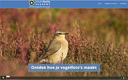 Videocursus_Vogelfotografie2