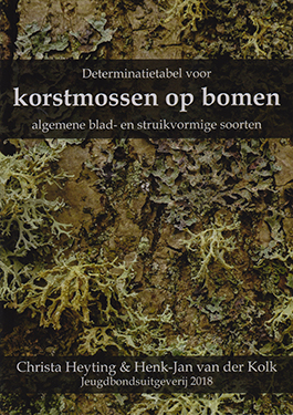 korstmossen_op_bomen