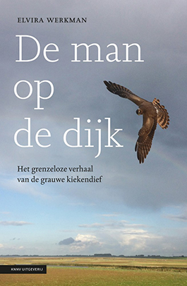 De_man_op_de_dijk