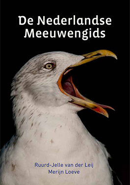 De_Nederlandse_Meeuwengids