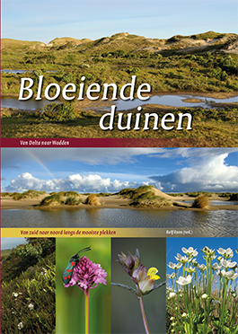 Bloeiende duinen