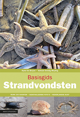 Basisgids_Strandvondsten.jpg