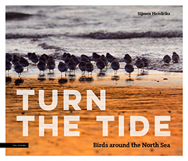 Turn_the_tide