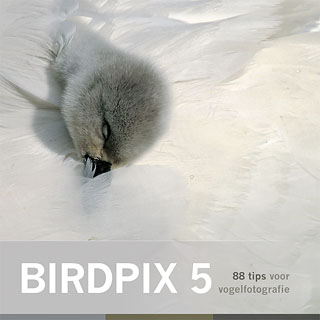 Birdpix5