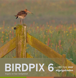 Birdpix6.jpg
