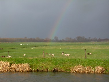 Regenboog160104