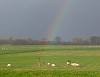 Regenboog160104