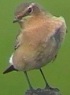 Paapje230901