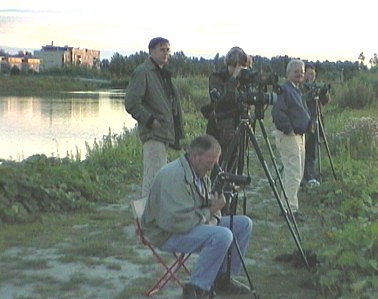 Zoetermeervogels030800