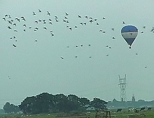 Wilck_ballonB140801