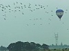 Wilck_ballonB140801