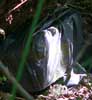 Geocaching140706