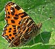 Landkaartje080506