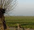 Lagenwaardsepolder131207C_panorama