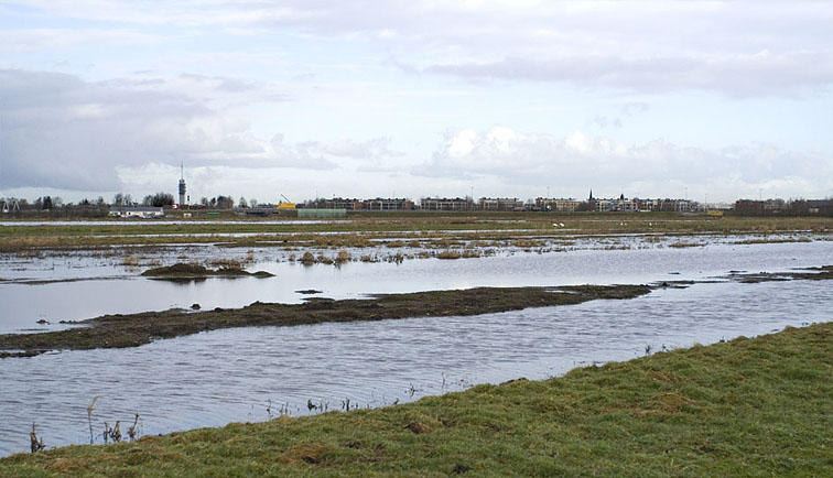 Zaansrietveld060207