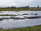 Zaansrietveld_feb07_panorama