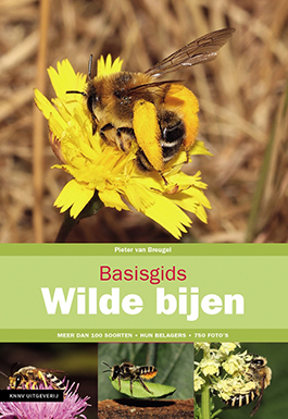 Basisdgids_Wilde_bijen