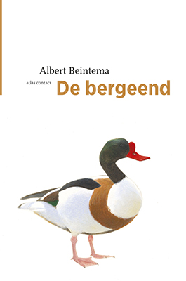 De_bergeend