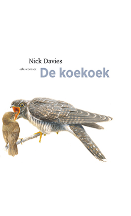 De_koekoek