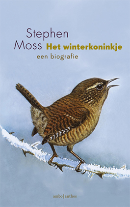 Het_winterkoninkje