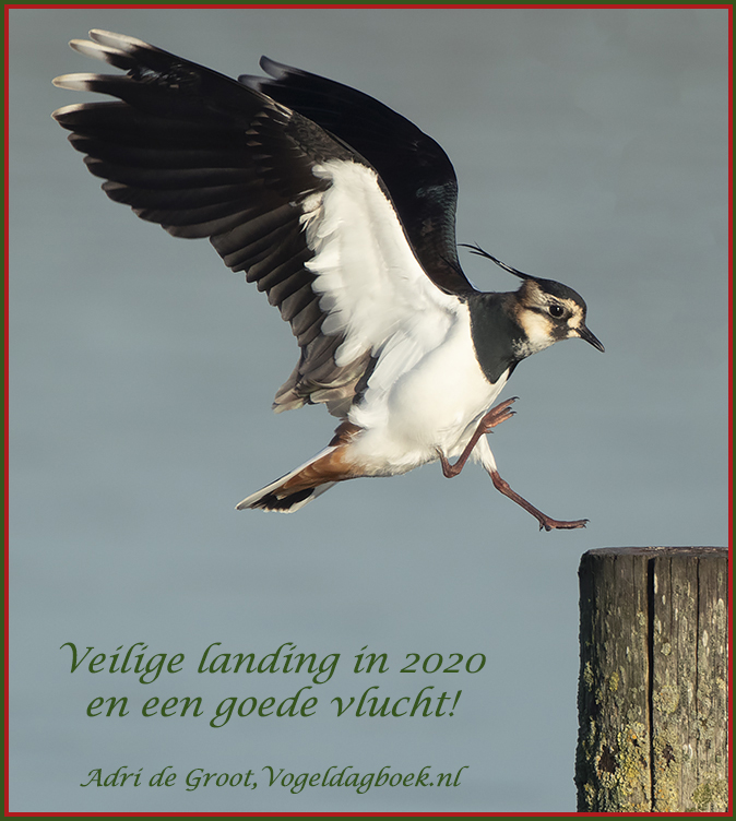 Wenskaart2020