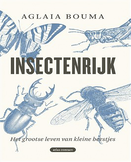 Insectenrijk