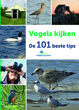 Vogels kijken