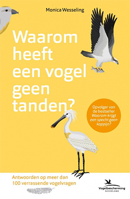 Waarom_heeft_een_vogel_geen_tanden