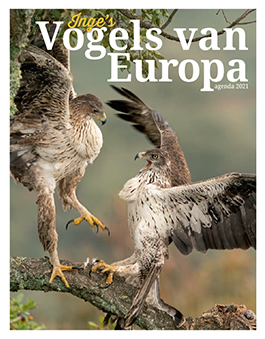 Inges_Vogels_van_Europa