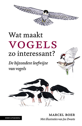 Wat_maakt_vogels_zo_interessant