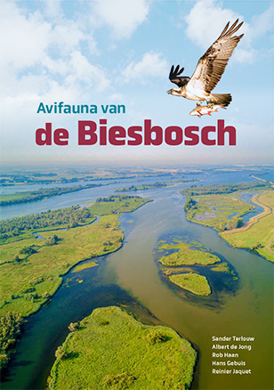 Avifauna_Biesbosch