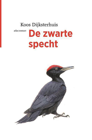 De_zwarte_specht