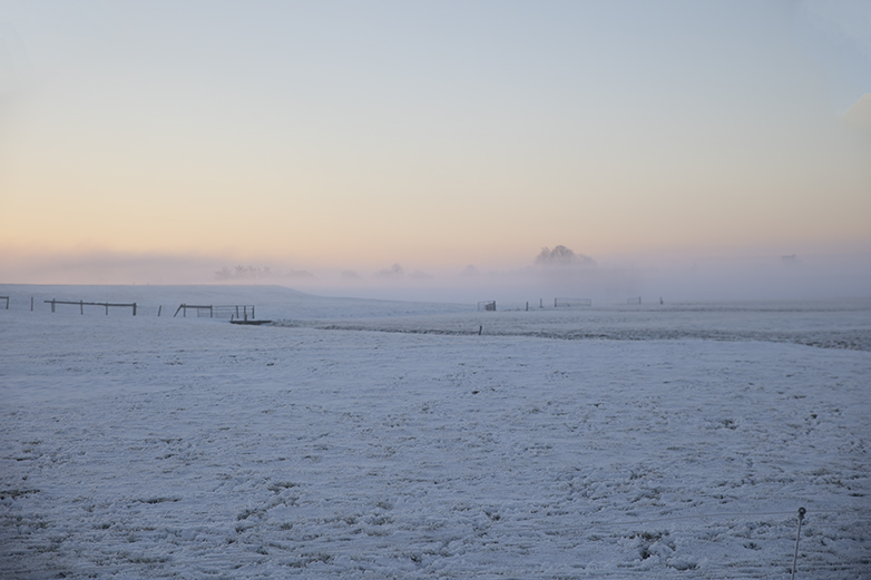 Geerpolder110221A