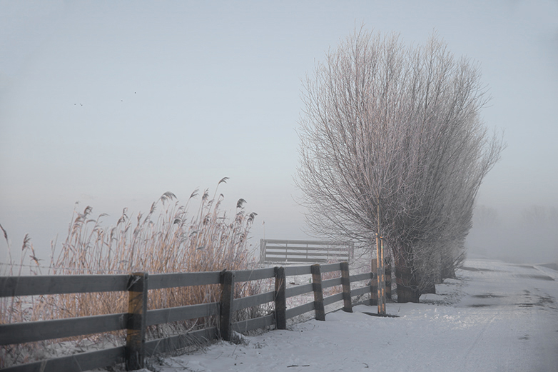 Stompwijk110221