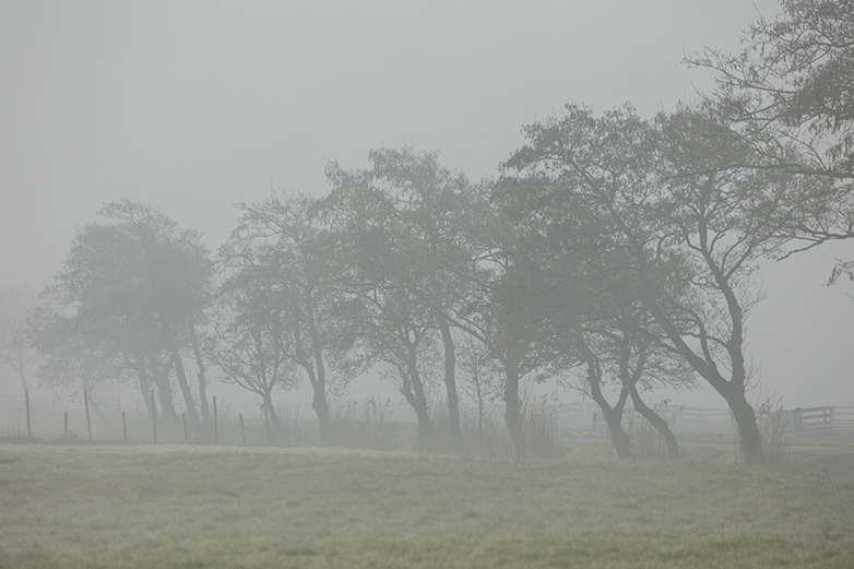 Broekweg280221