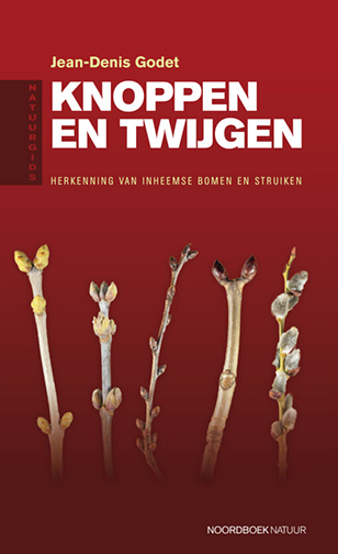 Knoppen_en_twijgen