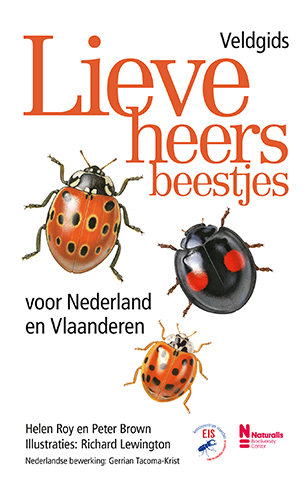 Lieveheersbeestjes