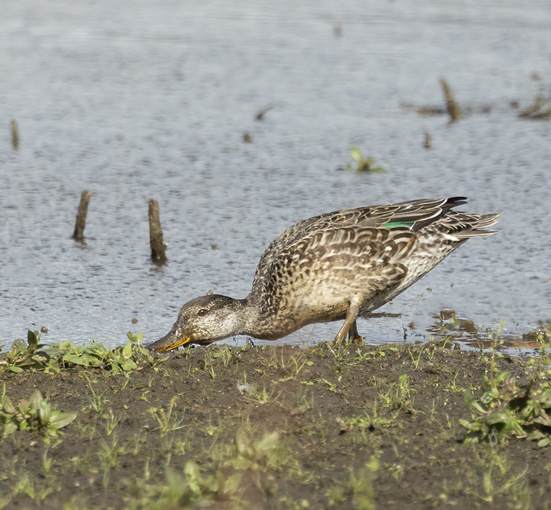 Wintertaling290921