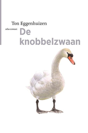 De_knobbelzwaan