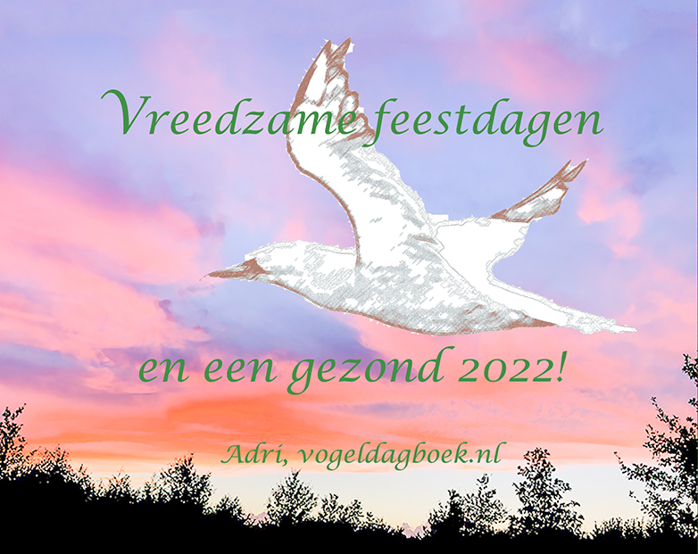 Wenskaart2022