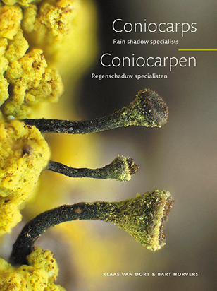 Coniocarpen_Regenschaduw